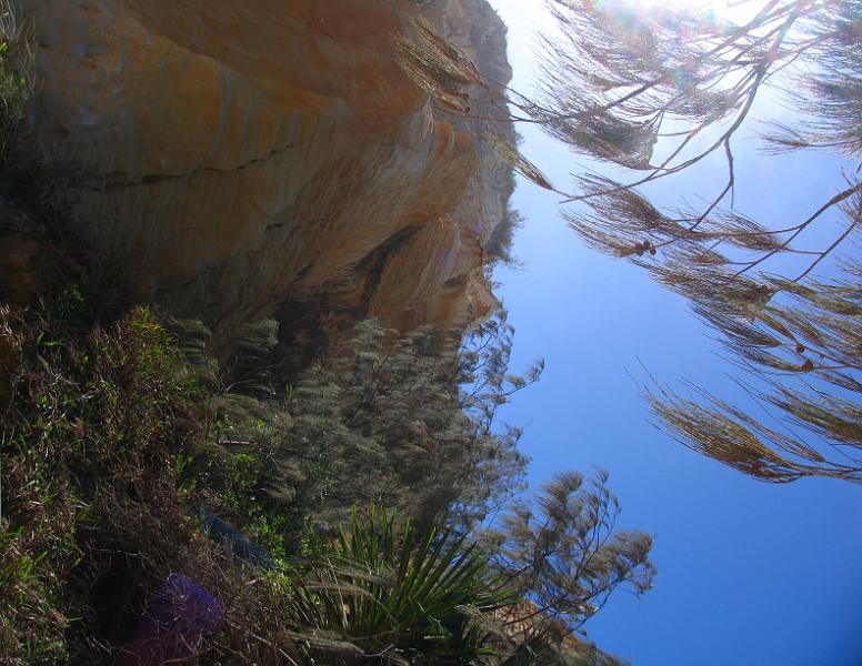 Fraser Island (19).jpg